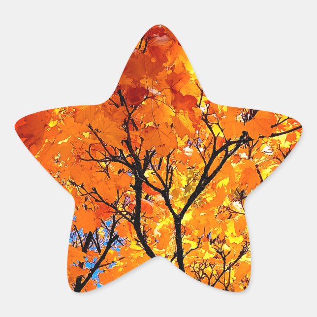 Sticker Étoile Feuille orange (Devant)