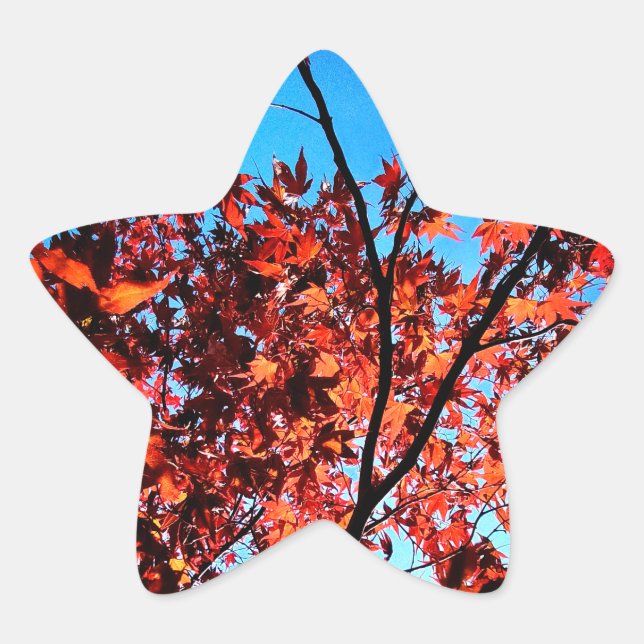 Sticker Étoile Feuilles d'automne (Devant)