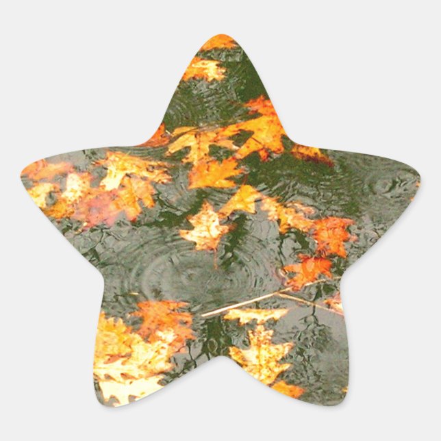 Sticker Étoile feuilles tombés sous la pluie (Devant)