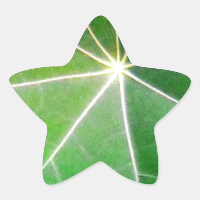 Sticker Étoile FEUILLES VERTES fraîches cadeau sain (Devant)