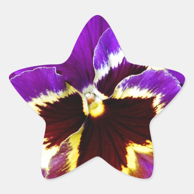 Sticker Étoile Fleur de pansement jaune et violet (Devant)