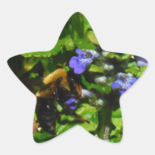 Sticker Étoile Fleur violette et abeille boursouflante
