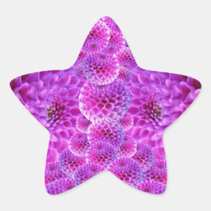 Sticker Étoile Fleurs rose PomPom Dahlia