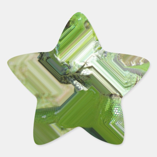 Sticker Étoile Iguana verte (Devant)