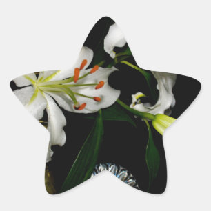 Sticker Étoile Iirsh Design - Collection de laiton et de fleurs