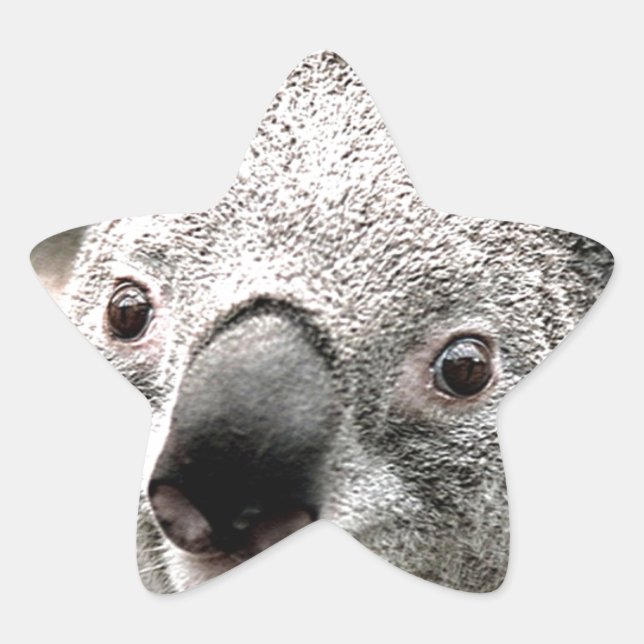 Sticker Étoile _Je me soucie_ (Devant)