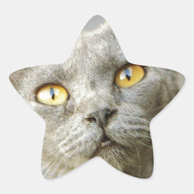 Sticker Étoile Jean Gray de dernier Hope (Devant)