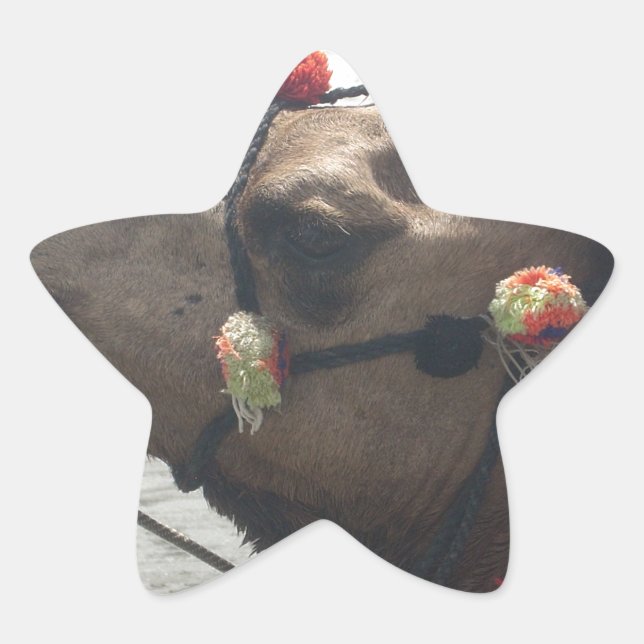 Sticker Étoile Kaleidoscope africain violet et jaune traditionnel (Devant)