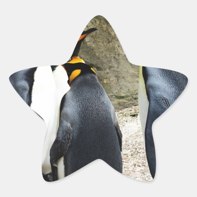 Sticker Étoile King Penguin (Devant)