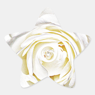 Sticker Étoile La rose blanche de l'amour_