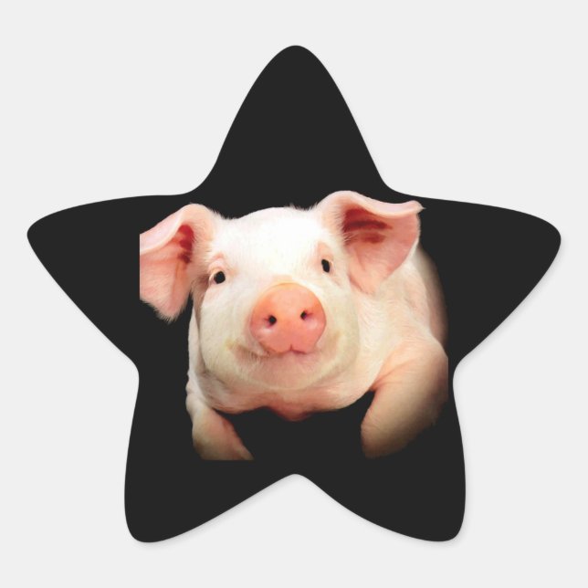 Sticker Étoile Little Piggy (Devant)