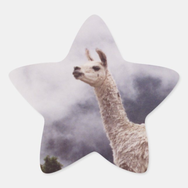 Sticker Étoile Llama Machu Picchu, Pérou (Devant)