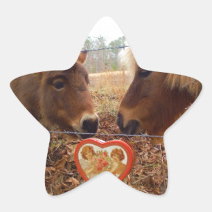 Sticker Étoile Miniature Donkey & Horse Valentine Heart