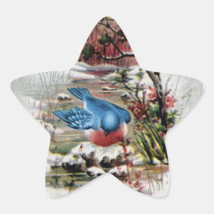 Sticker Étoile Oiseaux bleus dans Noël de cru d'hiver