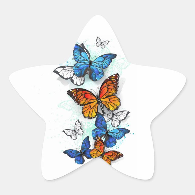 Sticker Étoile Papillons volants Morpho et Monarch (Devant)