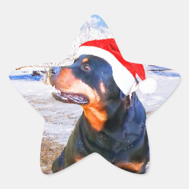 Sticker Étoile Peinture de Noël de chien Rottweiler (Devant)