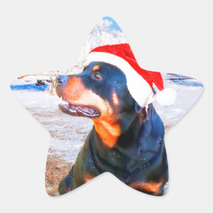 Sticker Étoile Peinture de Noël de chien Rottweiler