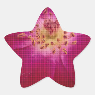 Sticker Étoile Perfection pétale : À damiers Rose Art Motif pétal