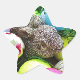 Sticker Étoile Personnaliser