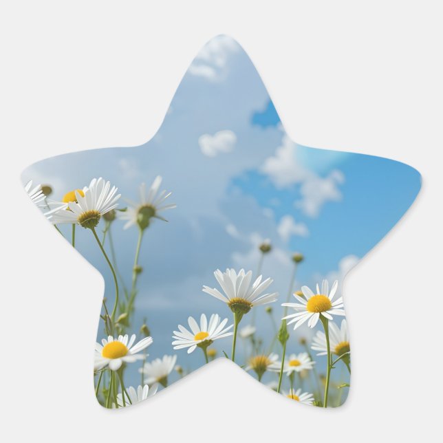 Sticker Étoile Pétales Choyés par le Soleil (Devant)