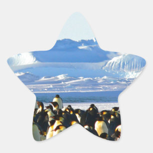 Sticker Étoile Pingouins empereurs