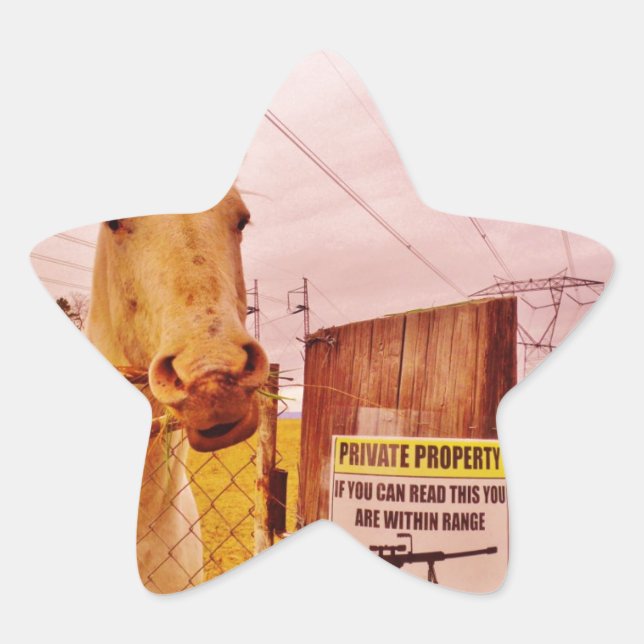 Sticker Étoile Pink Private Property Horse (Devant)