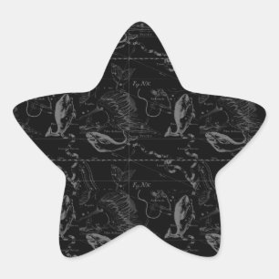 Sticker Étoile Pisces Constellation Hevelius 1690 sur Black