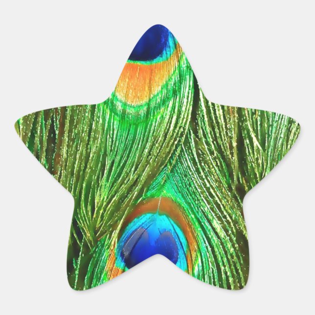 Sticker Étoile Plumes de paon colorées Imprimer (Devant)