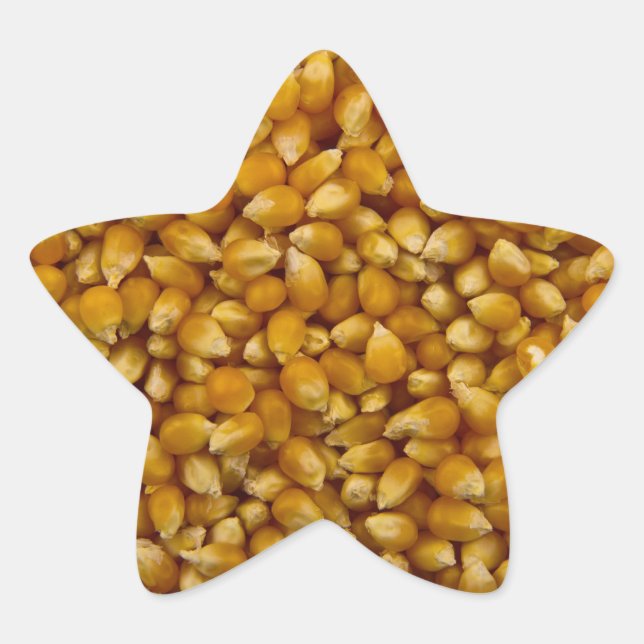 STICKER ÉTOILE POPCORN (Devant)