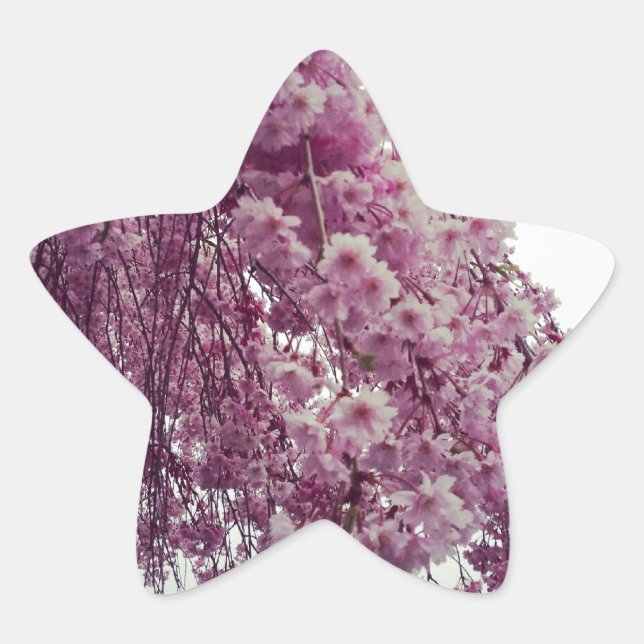 Sticker Étoile Printemps (Devant)