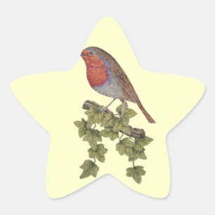Sticker Étoile Robin perché sur des oiseaux sauvages des feuilles