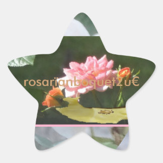 Sticker Étoile rosarïanboquet2u