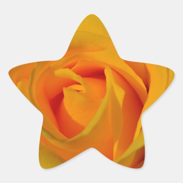 Sticker Étoile Rose jaune (Devant)