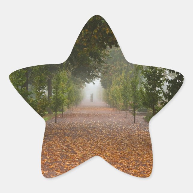 Sticker Étoile Ruelle dans le brouillard (Devant)