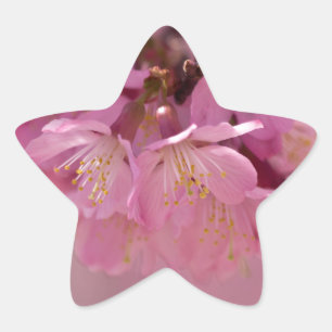 Sticker Étoile Sakura Cherry Blossoms Delicate Pink Bouquet