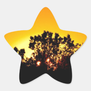Sticker Étoile Soleil