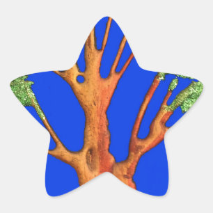 Sticker Étoile Sous le ciel bleu : La collection d'arbres Acacia