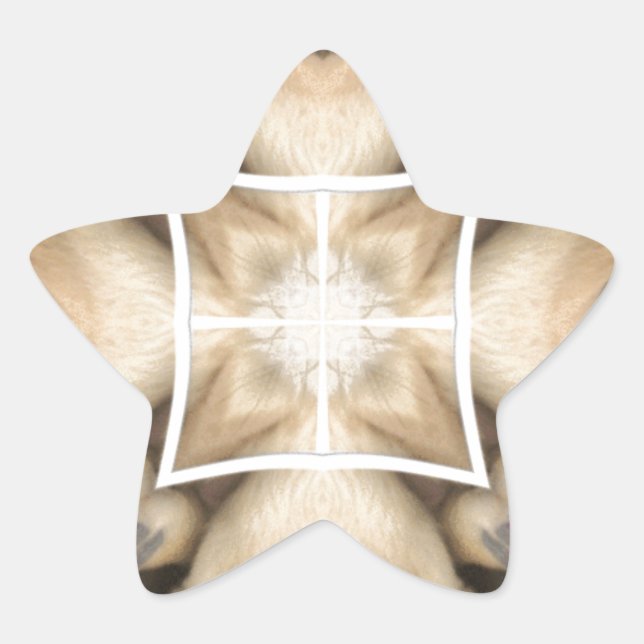 Sticker Étoile Splendor du Serengeti : Artistère de masquage anim (Devant)