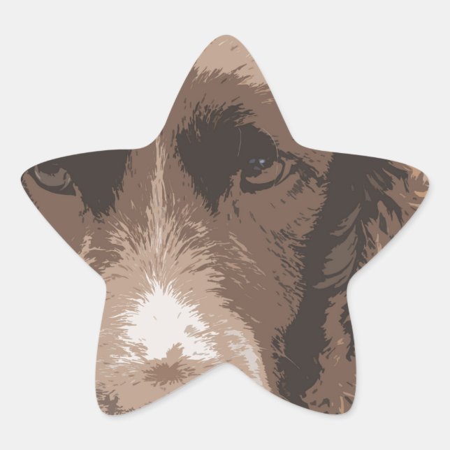 Sticker Étoile Springer anglais (Devant)