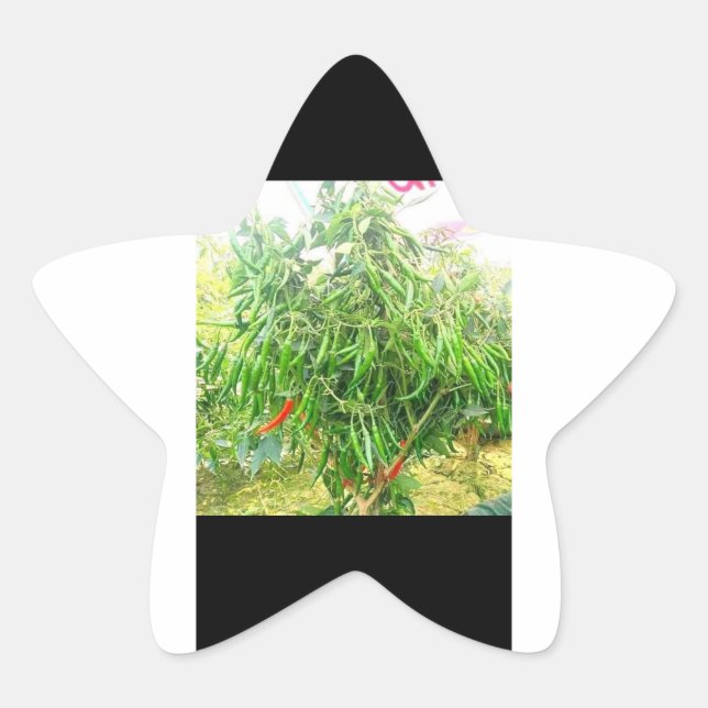 Sticker Étoile Un gâteau froid : délicieux plats savoureux à tart (Devant)