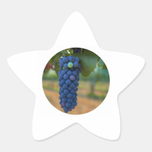 Sticker Étoile Une grappe de raisins frais violets