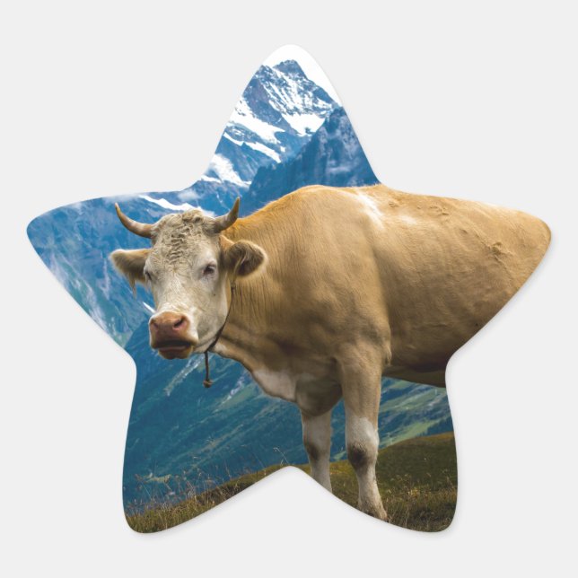 Sticker Étoile Vache de Grindelwald - Alpes bernoises - Suisse (Devant)
