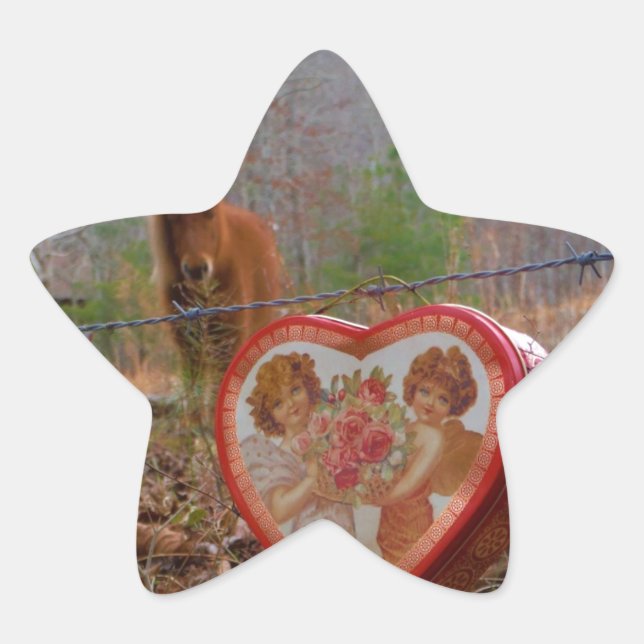 Sticker Étoile Valentine Heart Miniature Brown Horse (Devant)