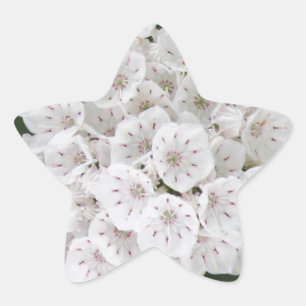 Sticker Étoile White Mountain Laurel Star Fleurs en forme