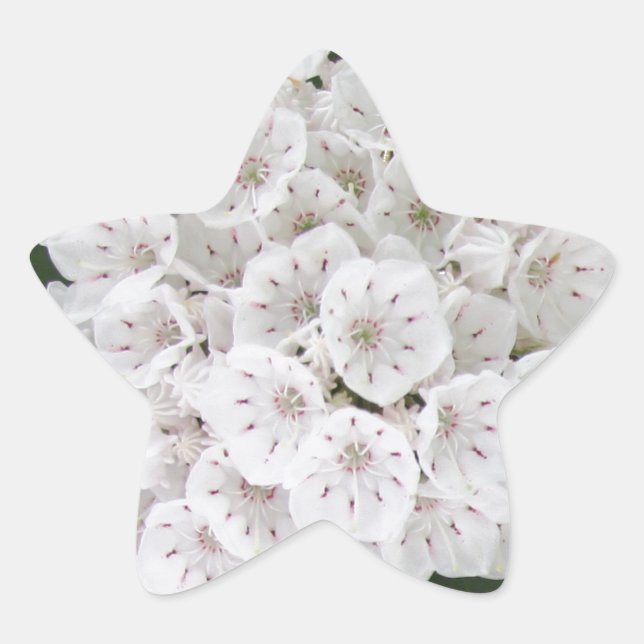 Sticker Étoile White Mountain Laurel Star Fleurs en forme (Devant)