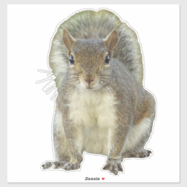 Sticker Face à face d'écureuil (Feuille)