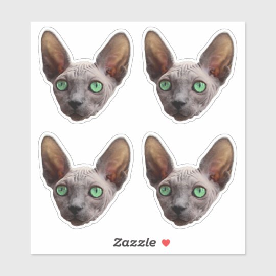 Sticker Face De Chat Sphynx Zazzle Fr Sticker Face De Chat Sphynx Zazzle Fr
