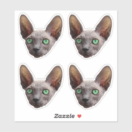 Sticker Face De Chat Sphynx Zazzle Fr