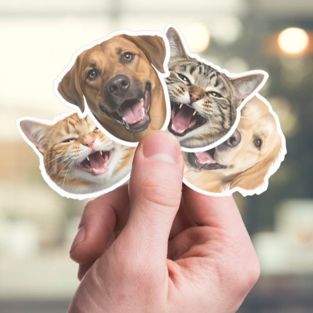 Sticker Faces de chat et de chien drôle avec vos photos pe (Créateur téléchargé)