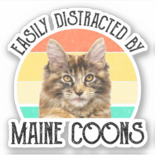 Sticker Facilement Distrait Par Les Maine Coons
